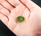 Резной зеленый турмалин 16,76 карата