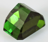 Tourmaline (Турмалин) 1,08 карата Не указан