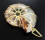 Комплект с аммонитами с аммолитовой мозаикой 178,16 карата