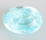 Tourmaline (Турмалин параиба) 0,49 карата Не указан