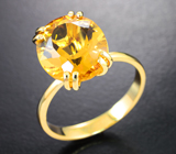Золотое кольцо с невероятно ярким гелиодором 4,86 карата Золото