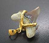 Золотой кулон с ископаемым зубом древней акулы Jaekelotodus 10,26 карата Золото