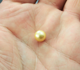 Золотистая морская жемчужина 4,32 карата! Натуральный цвет 