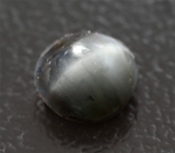 Редкий! Хризоберилл с эффектом кошачьего глаза 0,87 карата 