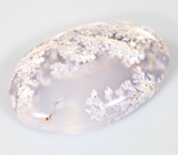 Дендритический агат 29,08 карата 