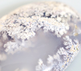 Дендритический агат 29,08 карата 