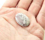 Дендритический агат 29,08 карата 