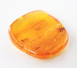 Доминиканский янтарь с насекомыми 10,74 карата