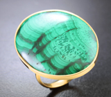 Золотое кольцо с крупным контрастным уральским малахитом 24,72 карата
