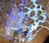 Австралийский болдер опал 21,48 карата 