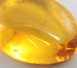 Ископаемый доминиканский янтарь с насекомым 2,71 карата