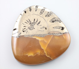 Крупный пиритовый аммонит с симбирцитом 118,35 карата 