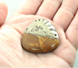 Крупный пиритовый аммонит с симбирцитом 118,35 карата 