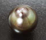 Крупная цветная морская жемчужина барокко 10,74 карата! Натуральный цвет 