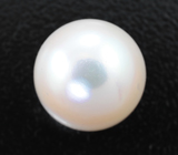 Морская жемчужина 7,52 карата 