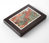 Яшма с фукситом в кальците 61,09 карата