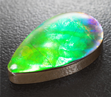 Аммолит аммонита 12,49 карата 