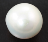 Крупная кремово-белая морская жемчужина 14,57 карата! Исключительный люстр 