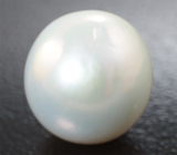 Крупная кремово-белая морская жемчужина 14,57 карата! Исключительный люстр 