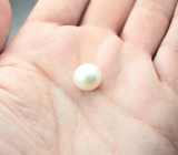 Крупная кремово-белая морская жемчужина 14,57 карата! Исключительный люстр 