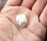 Крупная кремово-белая морская жемчужина 31,97 карата! Исключительный люстр 
