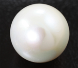 Крупная кремово-белая морская жемчужина 13,89 карата! Исключительный люстр 