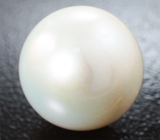 Крупная кремово-белая морская жемчужина 13,89 карата! Исключительный люстр 