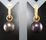 Золотые серьги с крупным черным морским жемчугом титанового люстра 25,74 карата! Натуральный цвет Золото