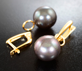 Золотые серьги с крупным черным морским жемчугом титанового люстра 25,74 карата! Натуральный цвет Золото