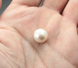 Крупная кремово-белая морская жемчужина барокко 13,98 карата! Исключительный люстр