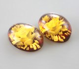 Парный резной янтарь 4,51 карата