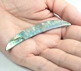 Крупный абалон 19,45 карата