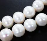 Колье с крупным кремово-белым морским жемчугом 400,6 карата