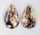 Крупная пара астрофиллитов на долерите 59,48 карата 