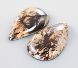 Крупная пара астрофиллитов на долерите 59,48 карата 