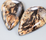 Крупная пара астрофиллитов на долерите 59,48 карата 