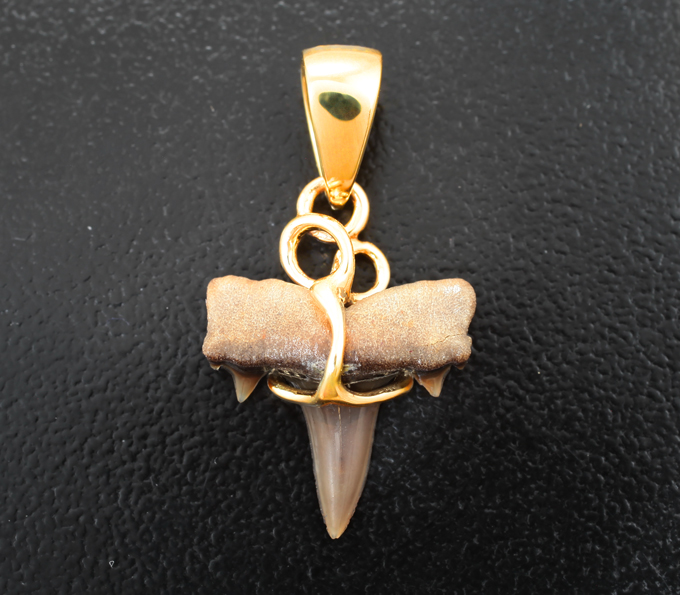 Золотой кулон с ископаемым зубом акулы 2,26 карата