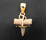 Золотой кулон с ископаемым зубом акулы 2,26 карата