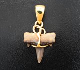 Золотой кулон с ископаемым зубом акулы 2,26 карата