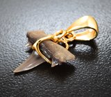 Золотой кулон с ископаемым зубом акулы 2,26 карата Золото