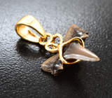 Золотой кулон с ископаемым зубом акулы 2,26 карата Золото