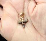 Золотой кулон с ископаемым зубом акулы 2,26 карата Золото