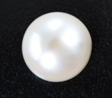 Кремово-белая морская жемчужина 11,74 карата 
