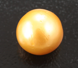 Золотистая морская жемчужина 4,01 карата 