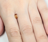 Редкий бастнезит ювелирного качества с включением рутила 0,98 карата 