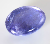 Крупный насыщенный танзанит 16,92 карата 