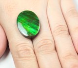 Крупный аммолит аммонита 22,36 карата