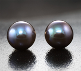 Золотые пусеты с идеально круглым черным морским жемчугом 7,46 карата! Титановый люстр