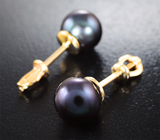 Золотые пусеты с идеально круглым черным морским жемчугом 7,46 карата! Титановый люстр Золото
