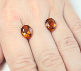 Пара чистейших цитринов мадейра 5,54 карата 